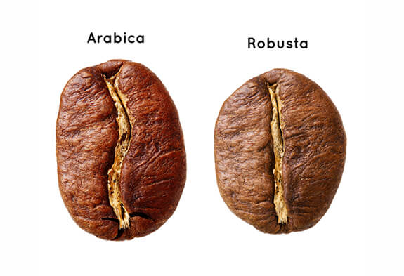 چگونه عربیکا و روبوستا را تشخیص بدیم